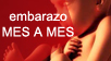 embarazo-mes-a-mes